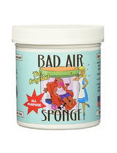 将图片加载到图库查看器，Bad air sponge 空氣淨化劑除甲醛去味清新空氣
